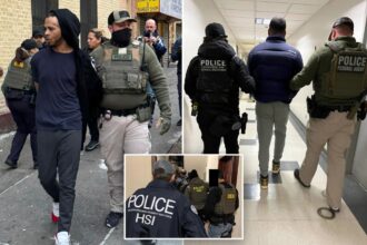 Exclusive | NYC minority communities cheer ICE raids that rounded up violent criminal migrants: ‘Get them the hell off the street!’