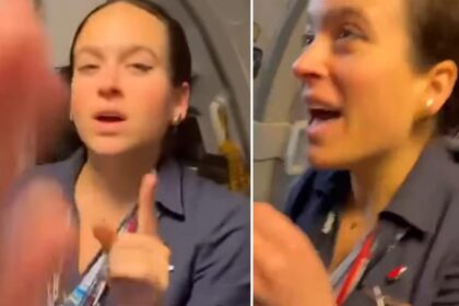 American Airlines passenger tears into flight attendant for wearing apparent pro-Palestinian pin: video