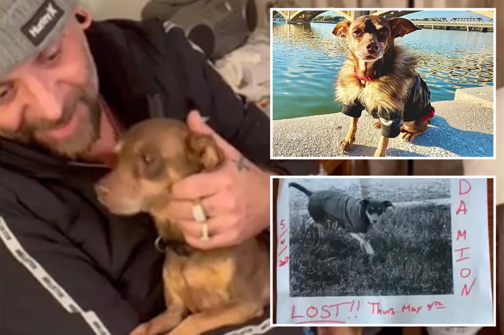 Arizona man reunited with lost dog after 8 years while en route to aid wildfire relief in California