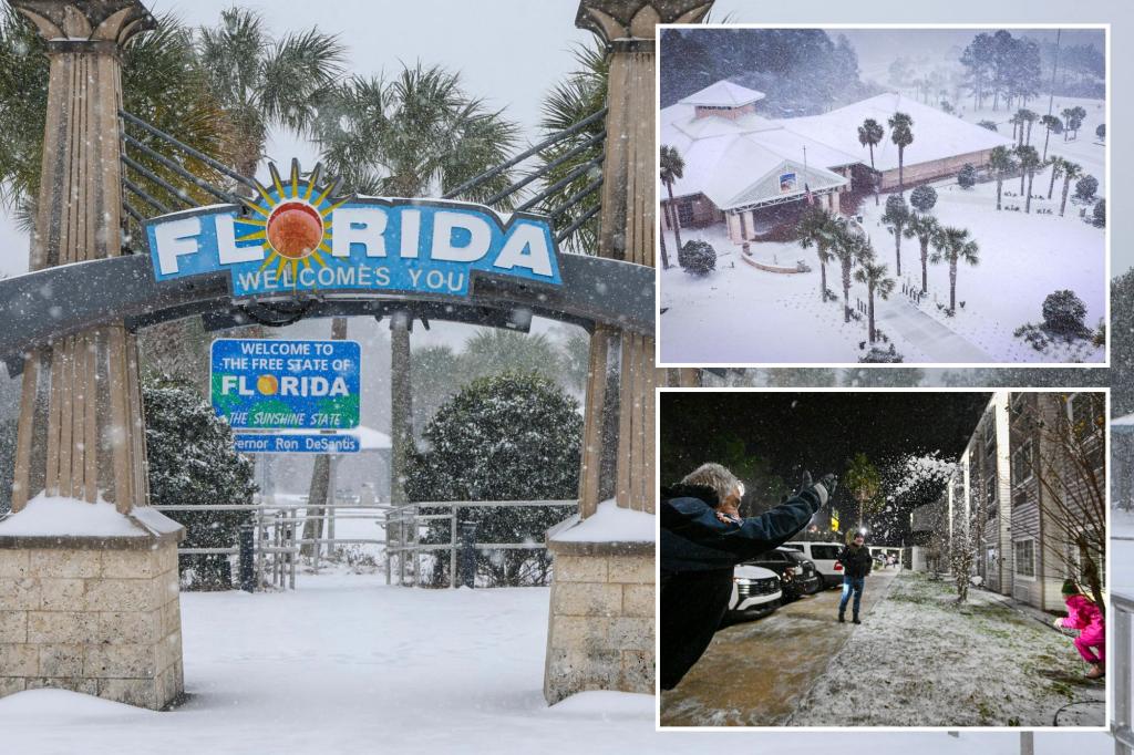 Florida sees heaviest snowfall in state’s history as unprecedented winter storm slams the South