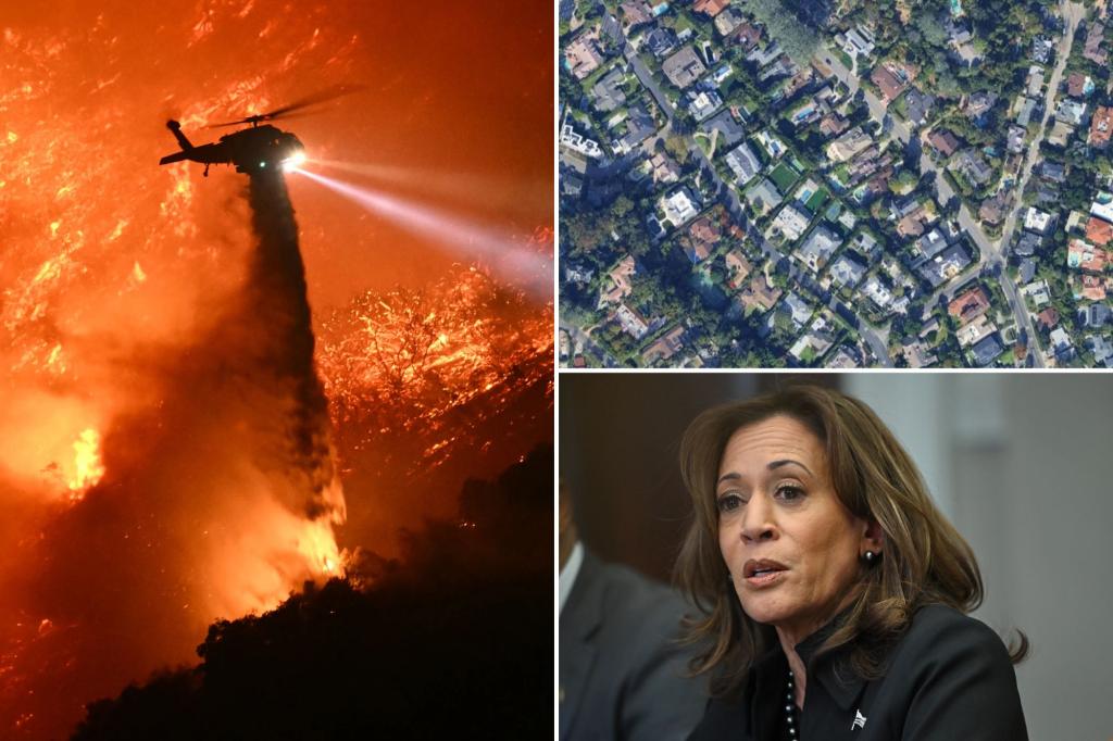 Two people arrested for violating curfew near Kamala Harris’ California home amid wildfires