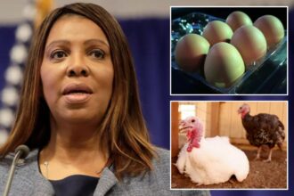 NY AG Letitia James warns against price gouging on eggs amid bird flu outbreak