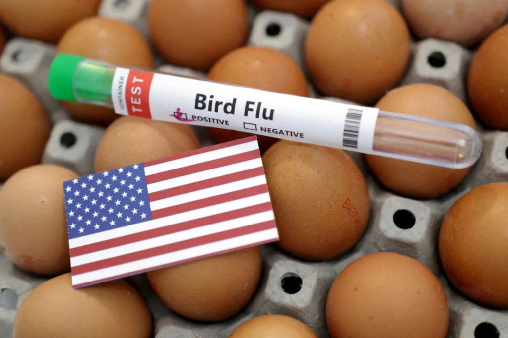 Louisiana person is the first US bird flu death, health officials say