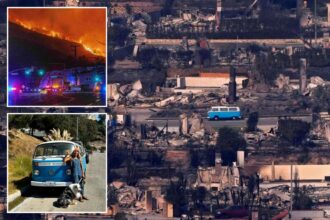 Retro blue VW van miraculously survives deadly Los Angeles fire