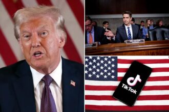 Trump vows to ‘save’ TikTok — as GOP hawks say Chinese app can only be revived if it’s sold