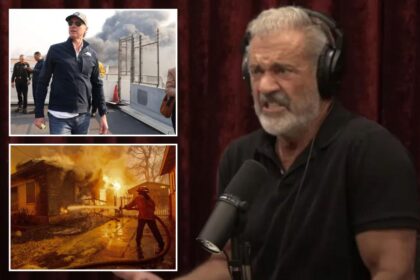 Mel Gibson, Joe Rogan rip into Gov. Newsom for being unprepared for deadly LA fires: ‘Tax dollars probably went for Gavin’s hair gel’