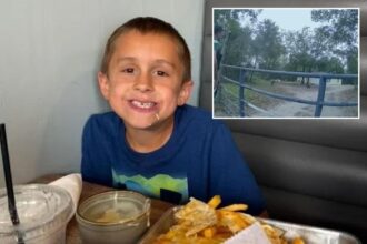 Florida boy, 8, dies after being attacked by 2 loose dogs