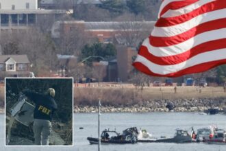 Another flight aborted landing due to military helicopter traffic at Reagan National Airport just 24 hours before deadly DC collision: report