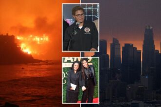 LA celebs imply LA Mayor Karen Bass backlash is over race — not drastic cuts to fire department, being out of US during wildfires