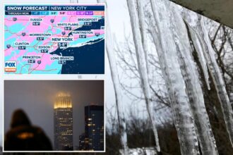 NYC braces for 6 inches of snow, brutal cold as polar vortex blasts region. Here’s when it will start