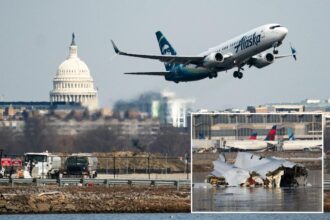 Ronald Reagan Washington ‘one of the most demanding airports’ for pilots, who face ‘helicopter alley’