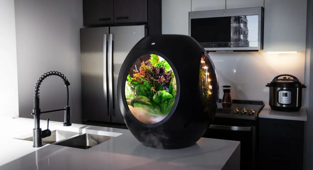 A podlike indoor herb garden