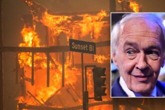 Dem senator warns ‘LA fires are preview of coming atrocities,’ claims Trump bought off by ‘Big Oil’