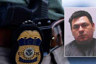 South Carolina drunk driver arrested in December had been deported 3 times: affidavit