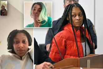 Woman accused of fatally stabbing NYC mom during brawl went on podcast to claim innocence – while on the lam: ‘She wasn’t being a real mom’