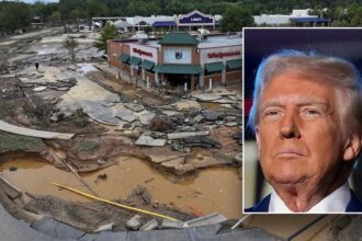 Trump signs executive order aimed at ‘drastically’ improving FEMA efficacy, priorities, competence