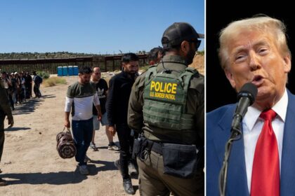 Significant majority believe Trump will ‘control illegal immigration’: poll