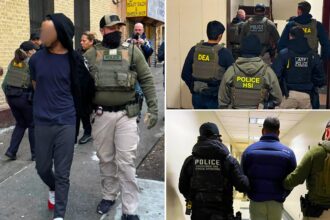 ICE crackdown sees 7,400 illegal migrants arrested in 9 days