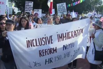 LA freeway blocked by anti-deportation protesters in response to Trump’s crackdown on illegal immigration