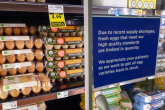 Egg shortage leads to odd pricing disparity with cage-free costing less than regular