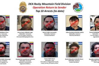 Colorado’s top 10 drug criminals arrested, facing deportation under DEA operation