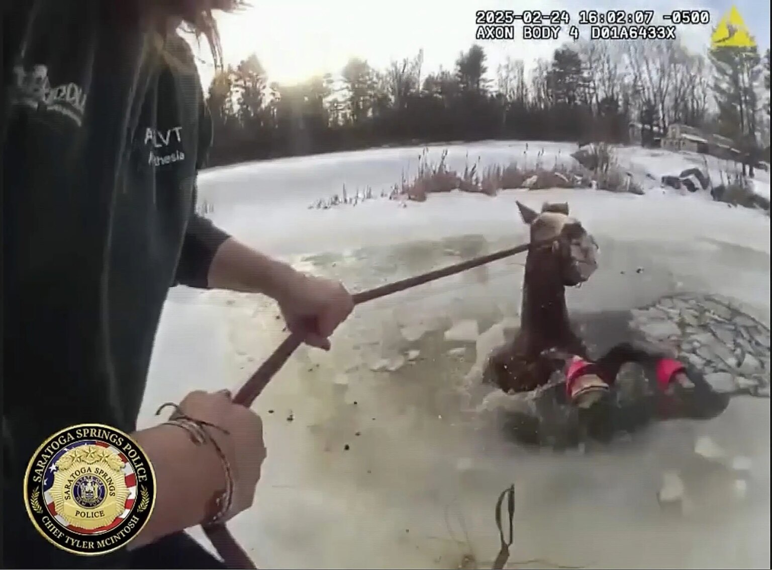 SEE IT: New York police save horse from icy pond in dramatic rescue