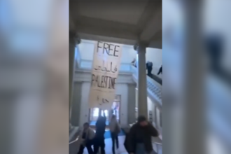 Anti-Israel protesters at Barnard College arrested after mob turns violent