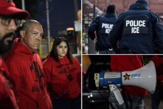 Anti-ICE activists sound sirens, bullhorns to stop migrant deportations in Dem-run state