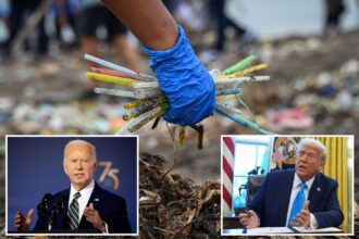 Trump vows to end Biden’s ‘ridiculous’ paper straw initiative: ‘Back to plastic’