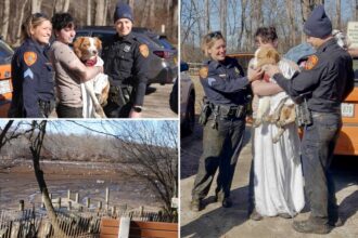 Long Island dog owner jumps into chest-high mud to save his pup — but needs his own rescue