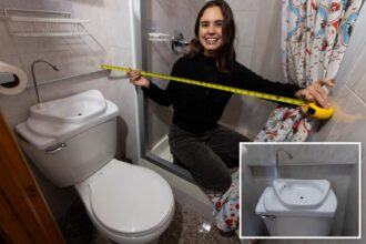 NYC woman pays ,000 a month for apartment with minuscule bathroom and bizarre sink-toilet combo