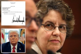 Democratic Federal Election Commission chair shares the termination notice she received from Trump: ‘You are hereby removed’ 