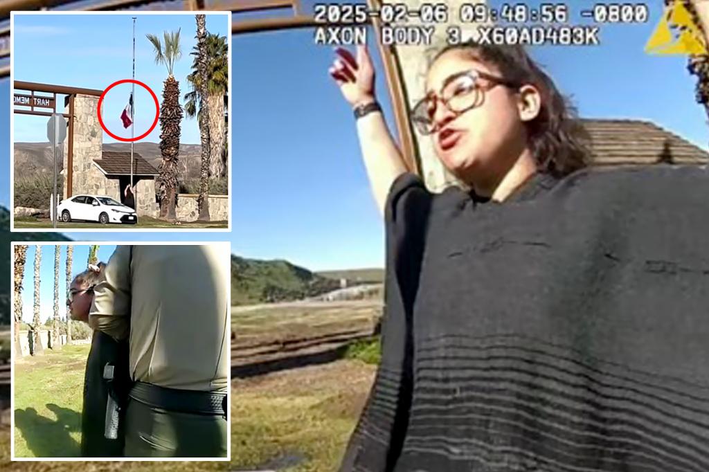 Female activist arrested for tearing down US flag, replacing with Mexico’s at California park: ‘This is Mexican land, motherf—ker’