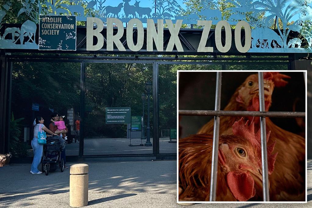 Bird flu hits NYC zoos: 3 Queens Zoo birds dead from virus, 12 at Bronx Zoo being tested