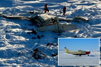 Remains of all 10 victims killed in Alaska plane crash identified