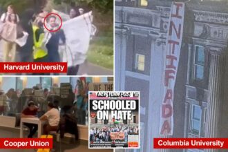 Exclusive | NY Dems look to crack down on raging campus antisemitism in series of new bills that get tough on colleges