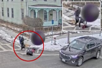 NY cops hunt for brute who shoved bystander into street in caught-on-video attack: ‘Without provocation’