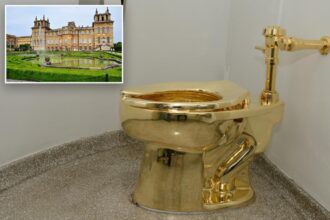 Seat of power: Three men on trial for swiping .5M gold toilet from Churchill’s home