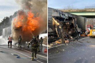 French fried fiasco: Truckload of curly fries goes up in flames on busy highway