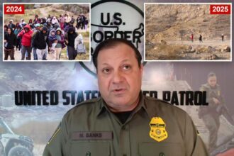 Exclusive | Trump’s Border Patrol chief reveals staggeringly low number of migrants released into US under his watch