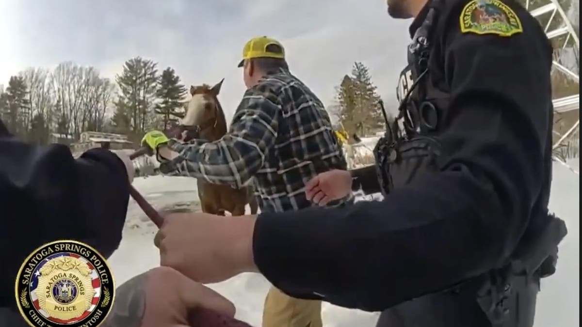 Rescuers try to save Sly from the water