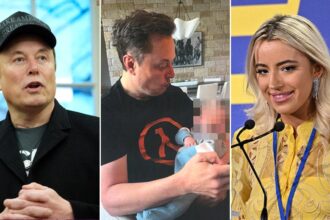 Ashley St. Clair files paternity lawsuit against Elon Musk seeking full custody of 5-month-old baby