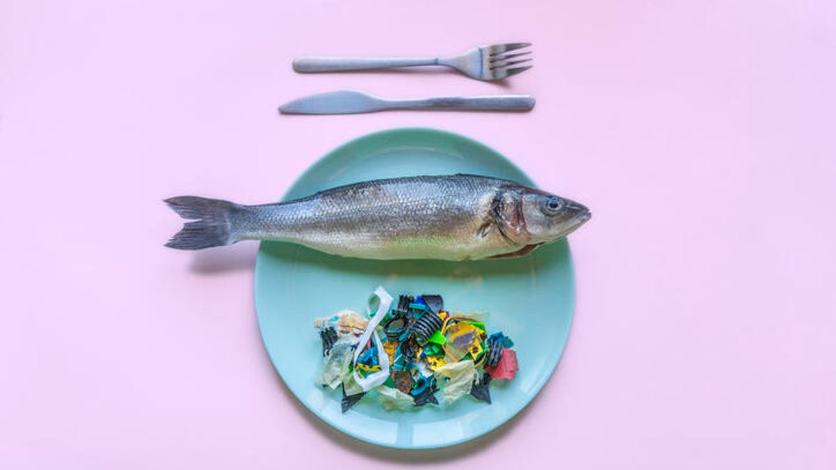 There’s Plastic in Your Food — Here’s How to Reduce Your Intake