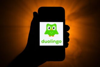 Rest in Peace Duo, the Duolingo Owl, Cruelly Murdered by … a Tesla Cybertruck?