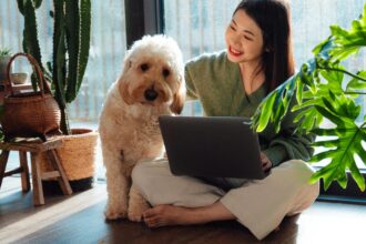 Best Pet Insurance Companies for 2025