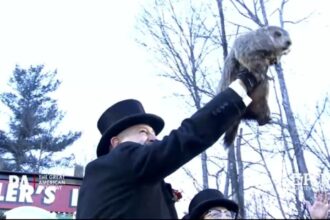 Groundhog Day: Punxsutawney Phil makes annual winter weather prediction