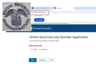 Social Security terminates ‘Gender X’ marker, saving taxpayers over M: DOGE