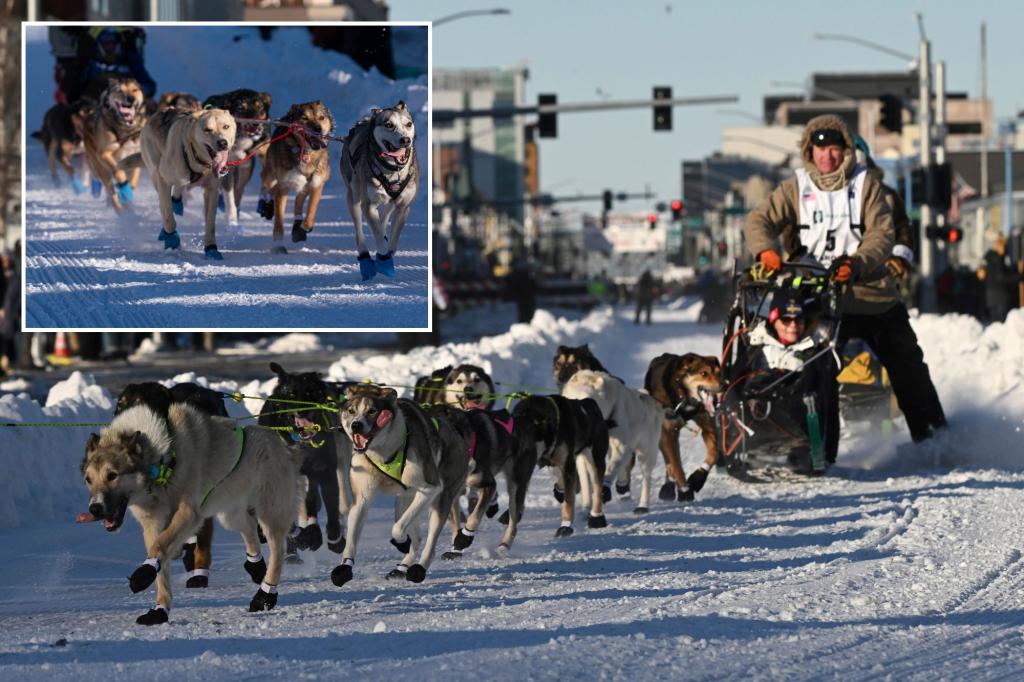 Lack of snow forces Alaska’s famous Iditarod race to make ‘difficult but necessary’ change