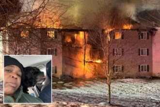 NY dog being hailed as hero for alerting sleepy owner to massive apartment fire