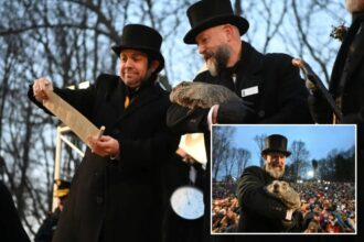 Here’s Punxsutawney Phil’s Groundhog Day weather report